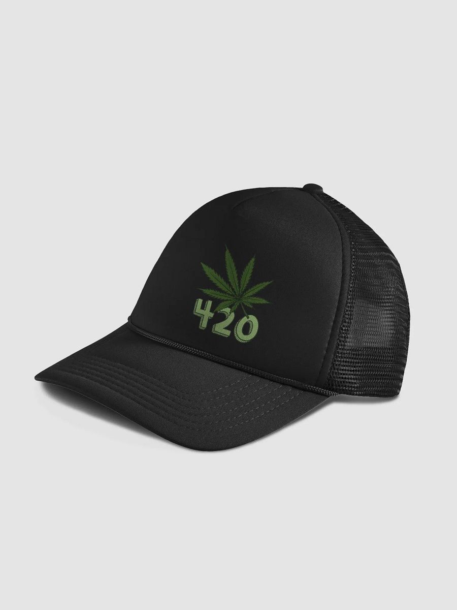 Gorra de la familia 420 product image (4)