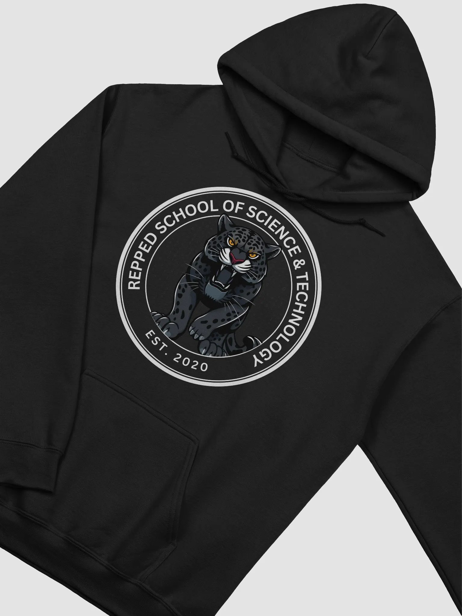 RS Hoodie product image (2)