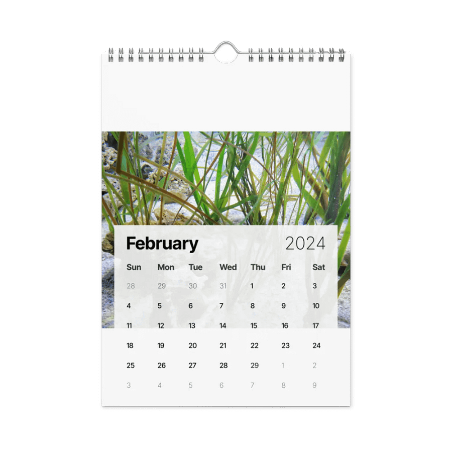 new years product image (13)