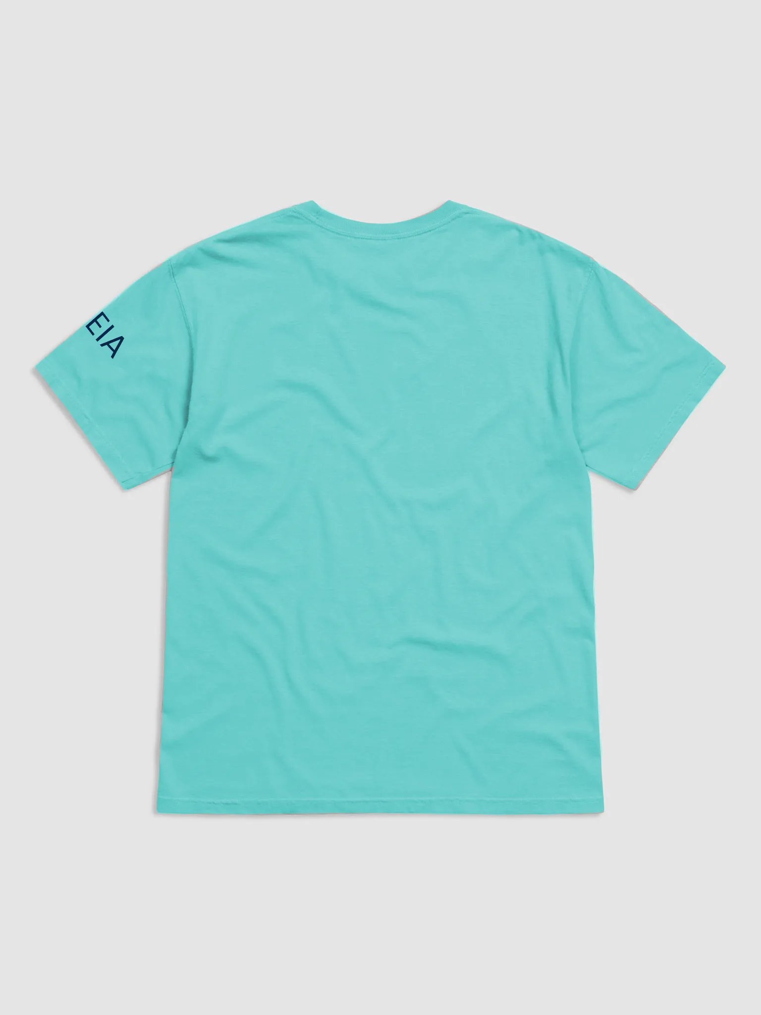 EL PITIRRE” Art T-Shirt product image (2)