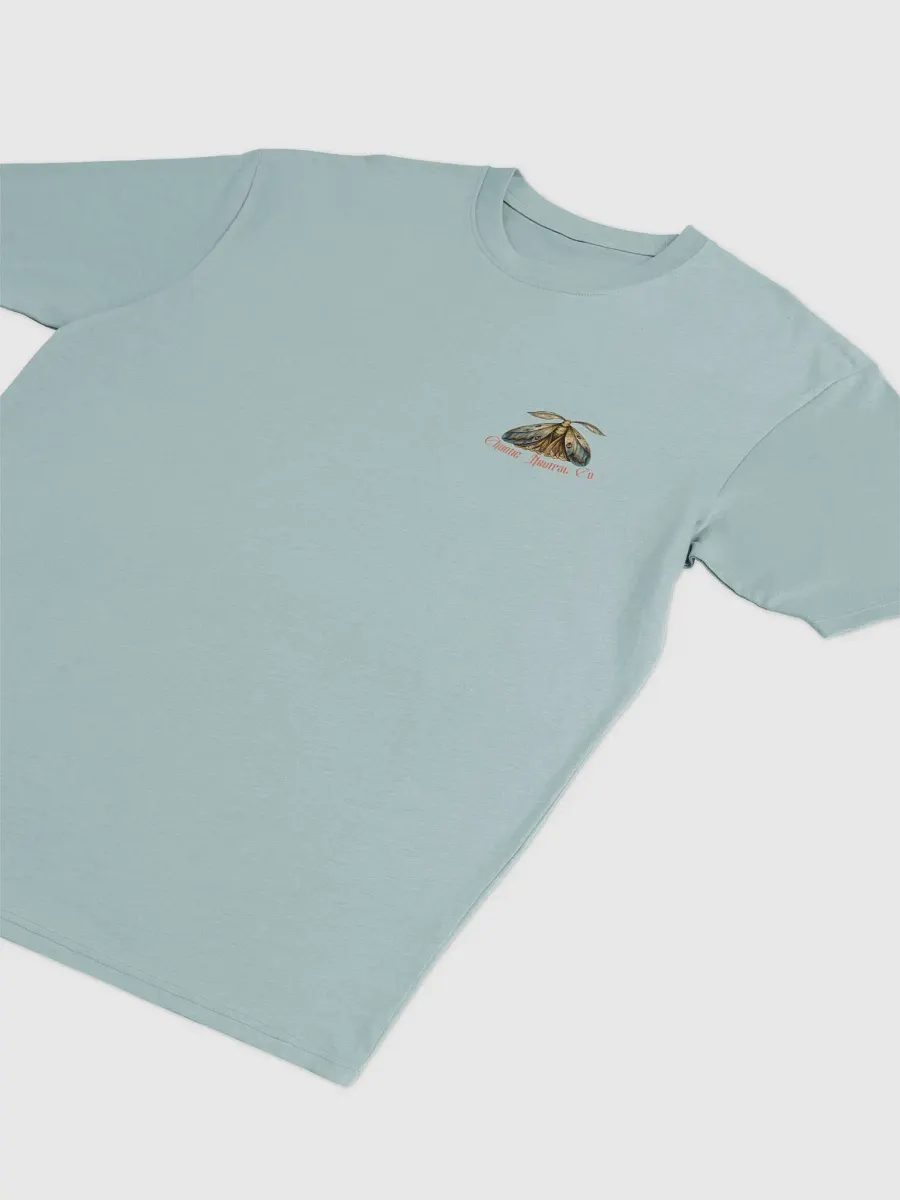 Rebirth Tee (Blush Script) product image (6)