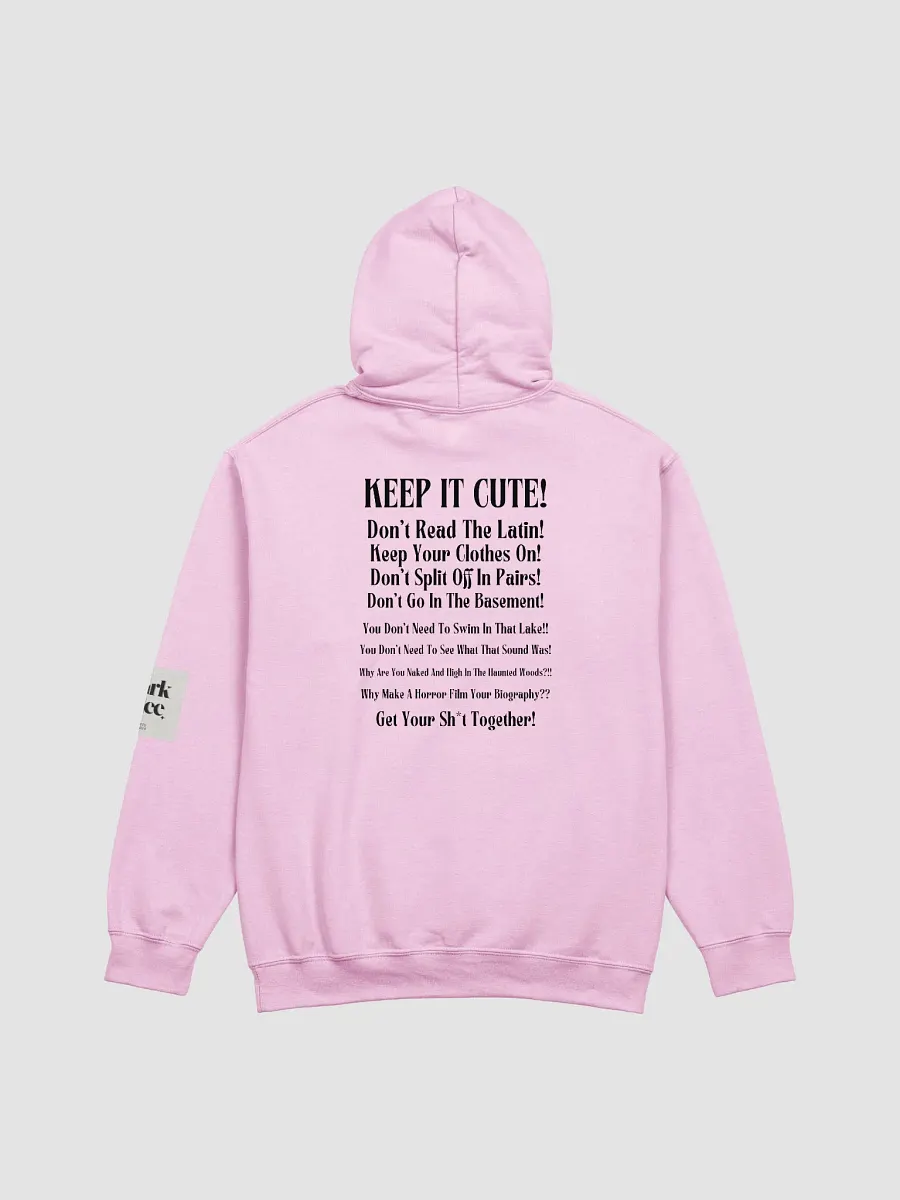 Don't Read The Latin BSFR Hoodie product image (2)
