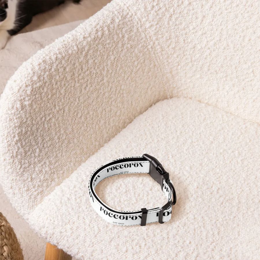 RoccoRox Dog Collar White Size Medium product image (4)
