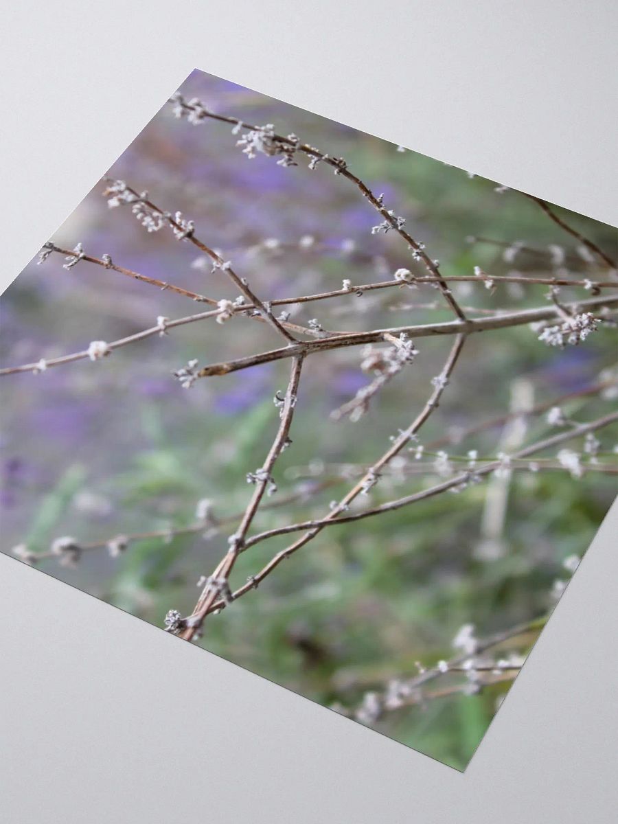 A Study in Flowers 15 - sticker version product image (9)