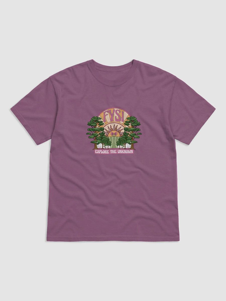 Emerge comfort colors heavyweight organic cotton t-shirt product image (1)