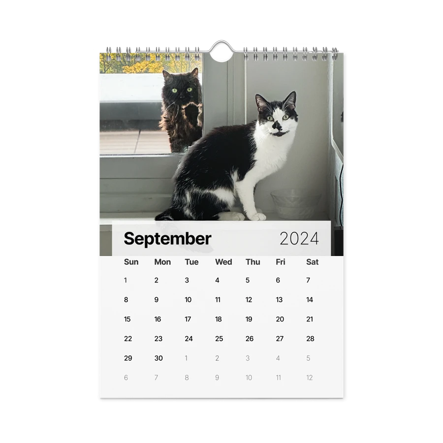 The 2024 ShoKo Cat Calendar product image (18)