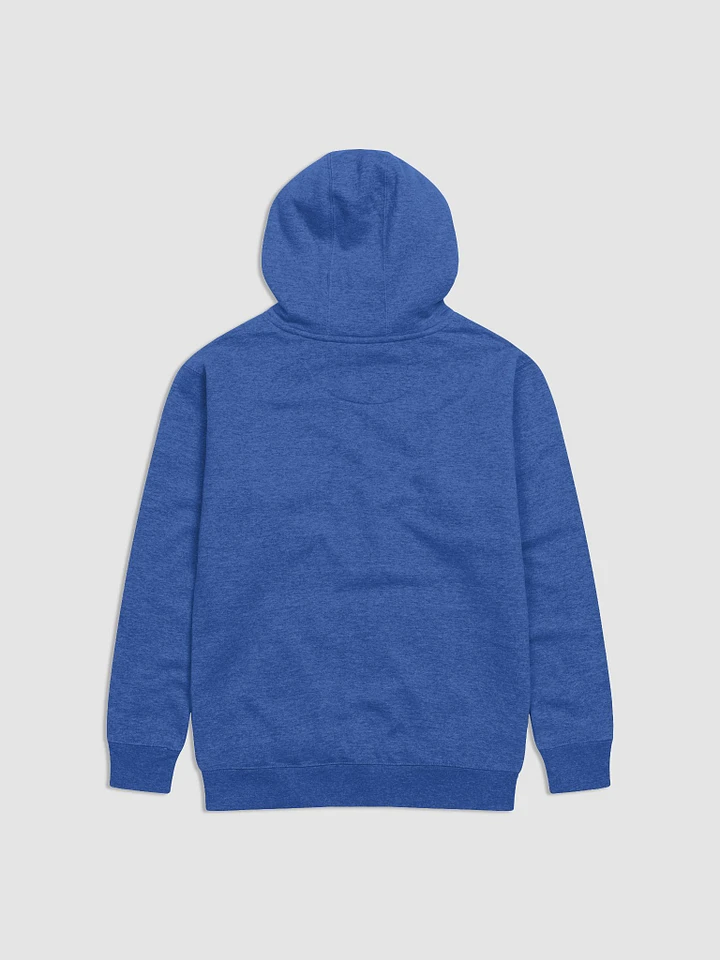 I am Not a Social Construct - Bi - Hoodie product image (2)