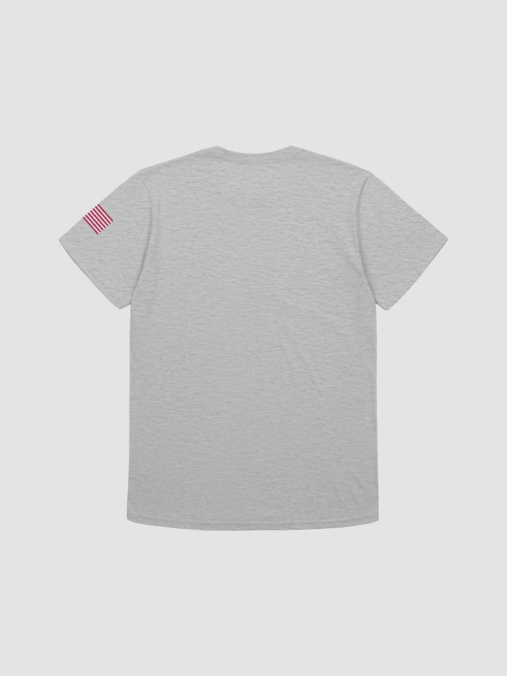 Authentic Apparel T-shirt product image (122)