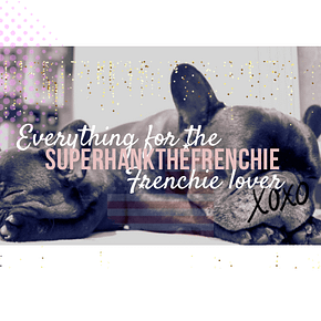 Superhankthefrenchie