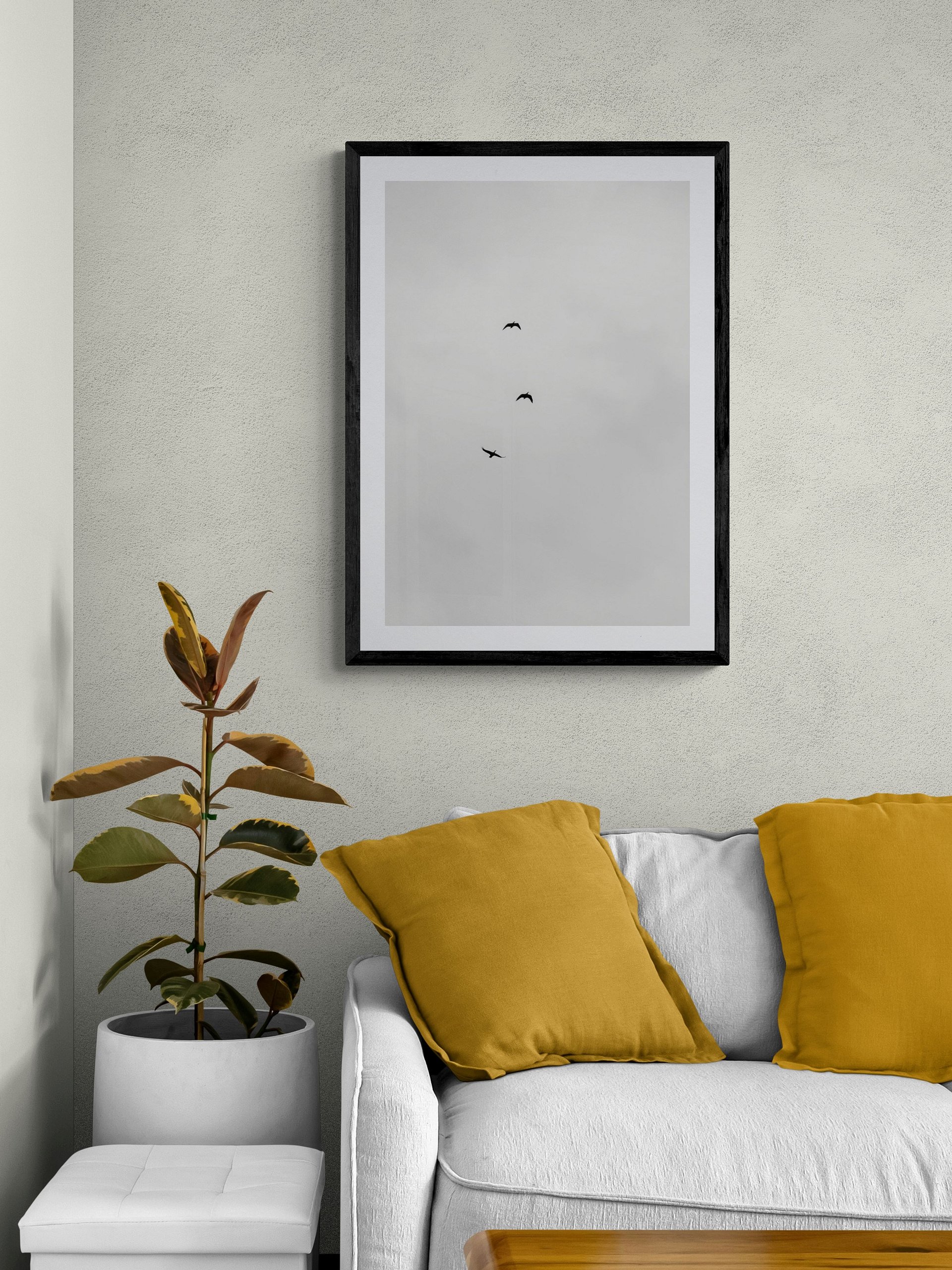 A Trio of Birds in Grayscale product image (1)