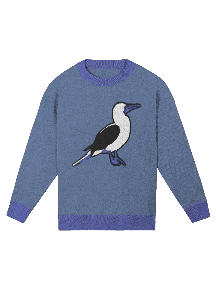 Blue-Footed Booby Relaxed Jacquard Sweater – Knit Pullover with Birdwatcher Design product image (3)