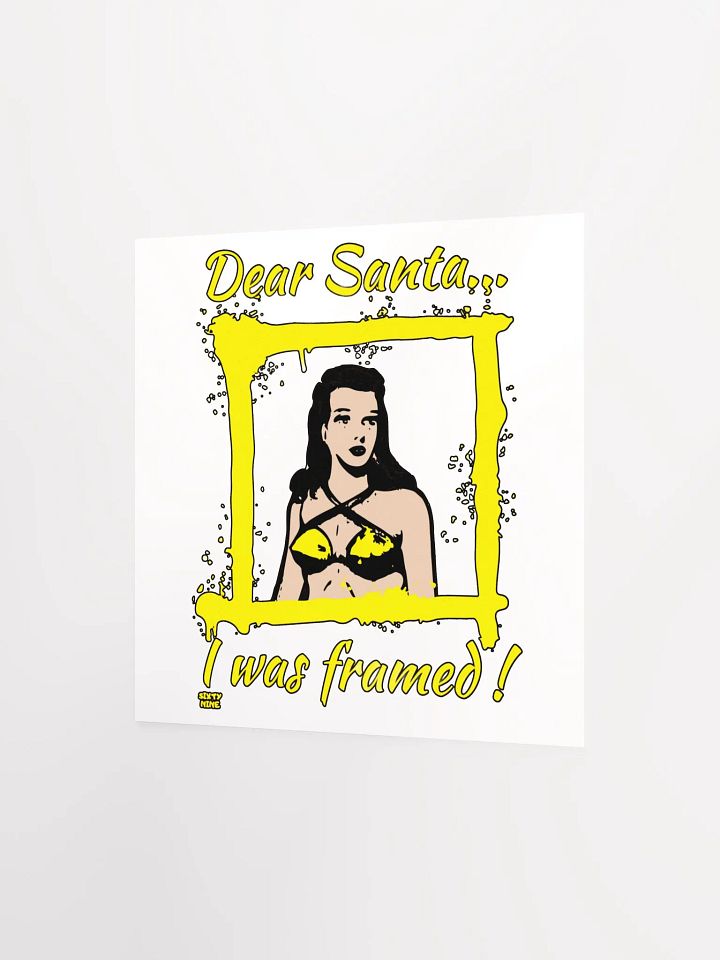 DEAR SANTA, I WAS FRAMED! product image (8)