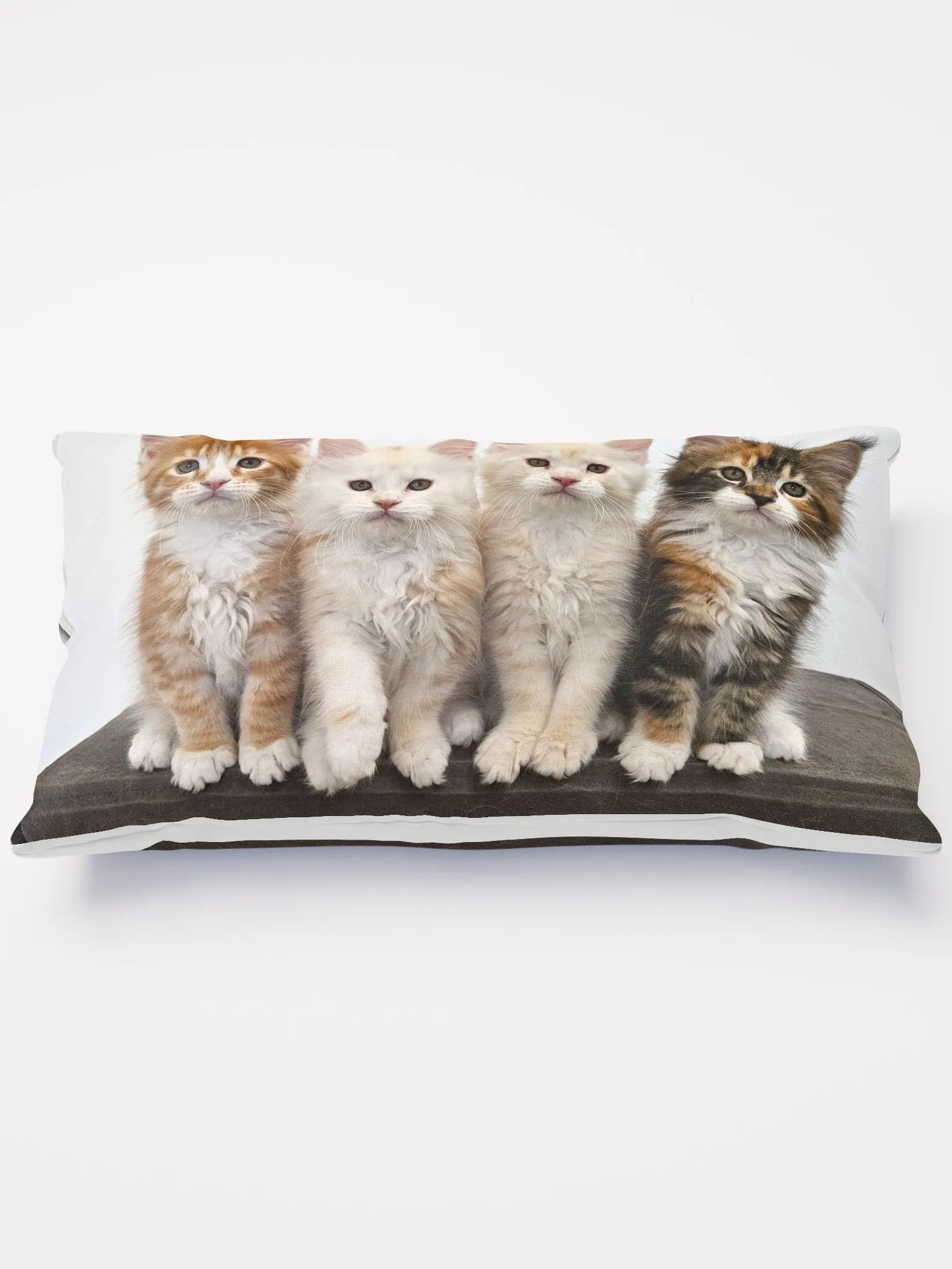 Ada's Kittens - Pillow product image (1)
