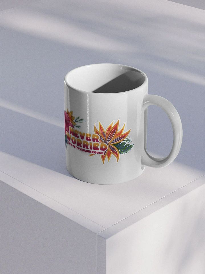 The Never Worried Mug product image (2)