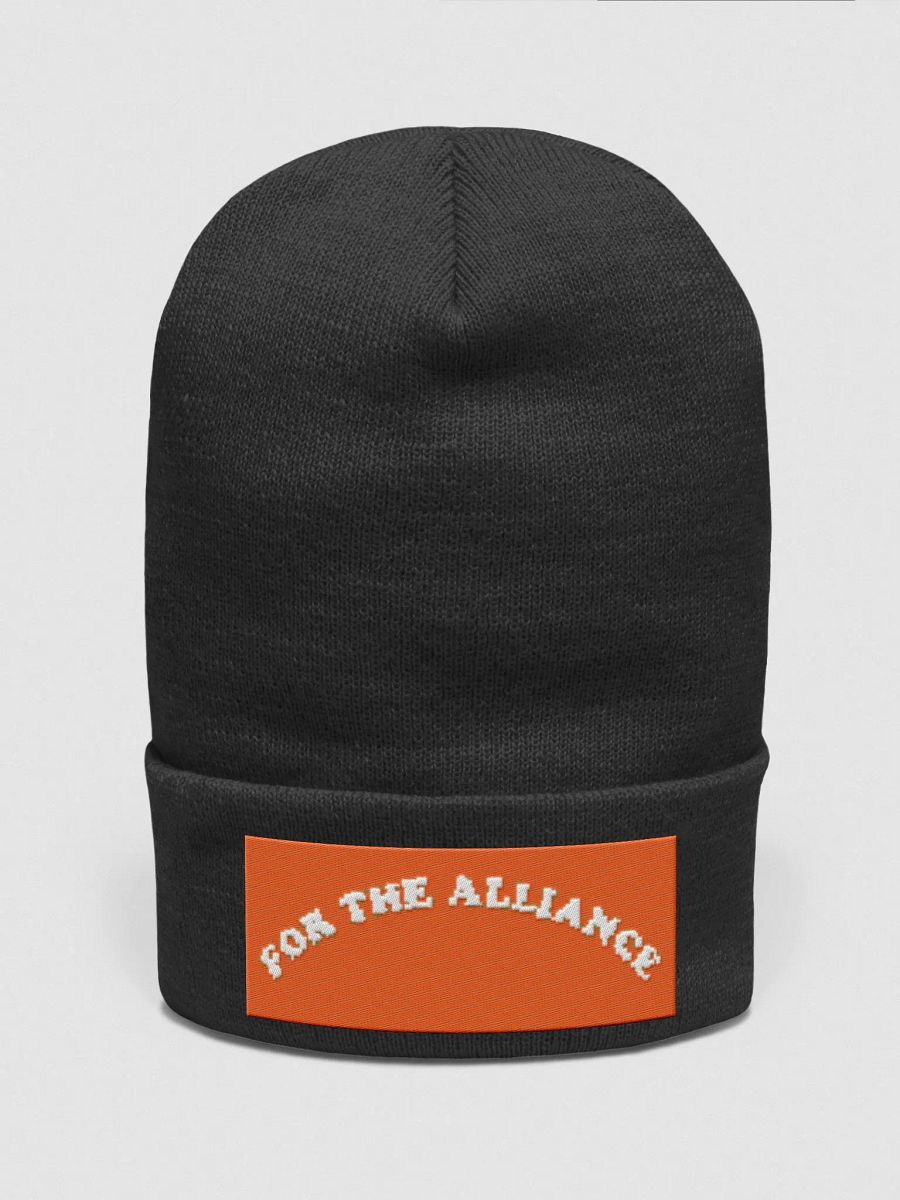 For the beanie alliance product image (1)