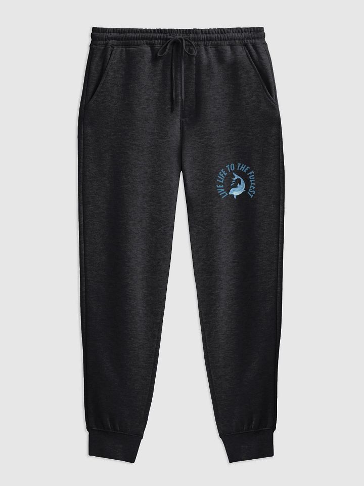 Crystal Rise Men's Fleece Joggers product image (1)