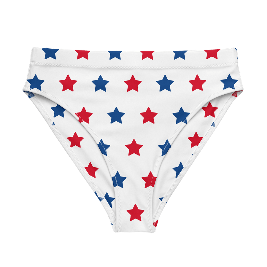 Stellar Recycled High Waisted Bikini Bottom product image (1)