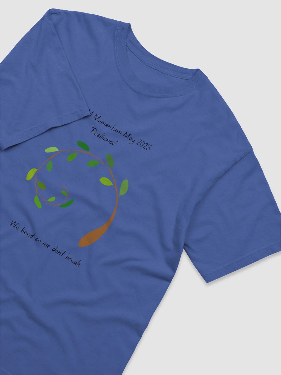 Limited Edition 2025 Momentum May T-shirt product image (26)