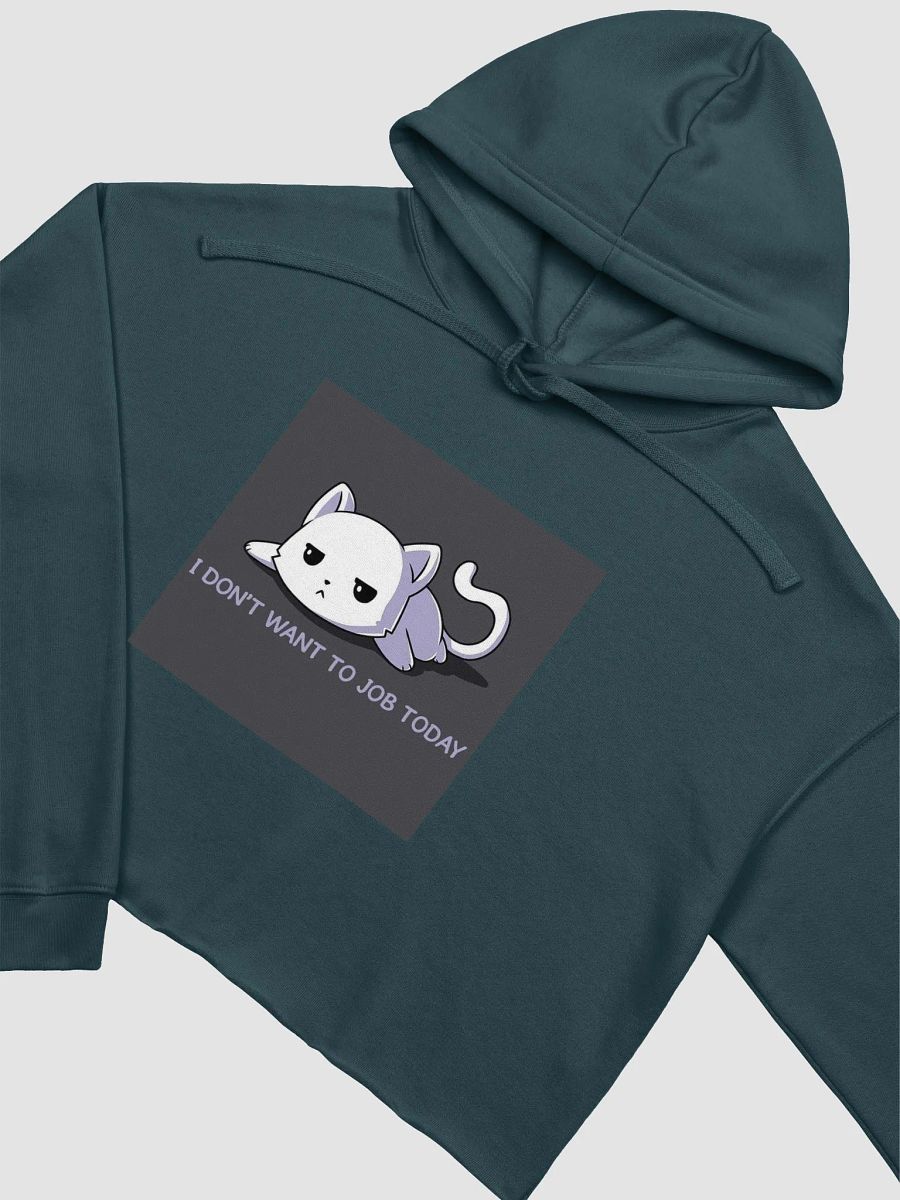 Lazy Cat Vibes Crop Hoodie product image (25)