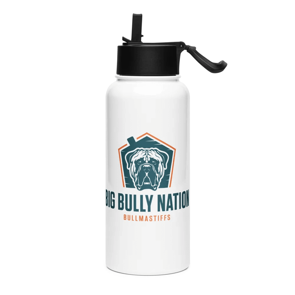 BBN Stainless Steel Water Bottle product image (3)