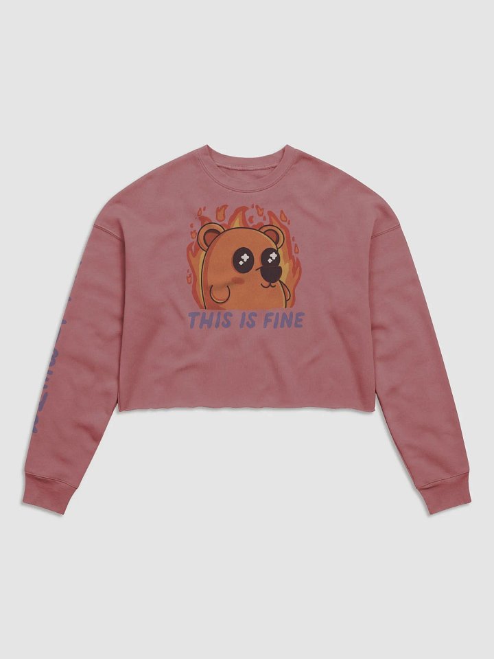 This is Fine Behr Crop Crewneck product image (2)