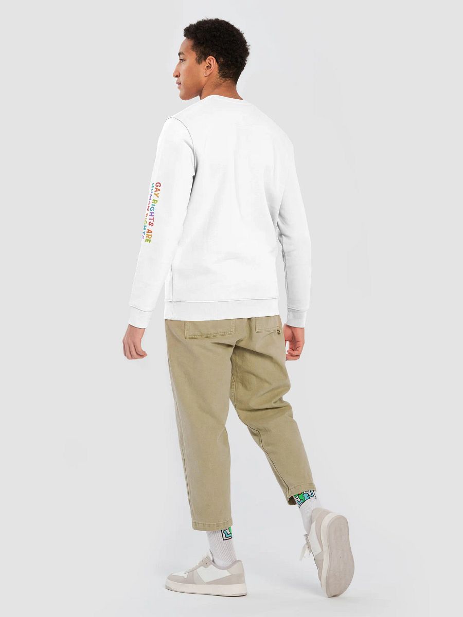 Gay Unisex Eco Sweatshirt product image (10)