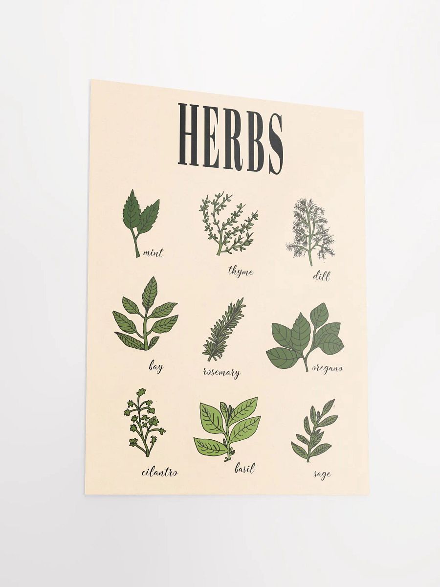 Vintage Culinary Herbs poster print product image (8)