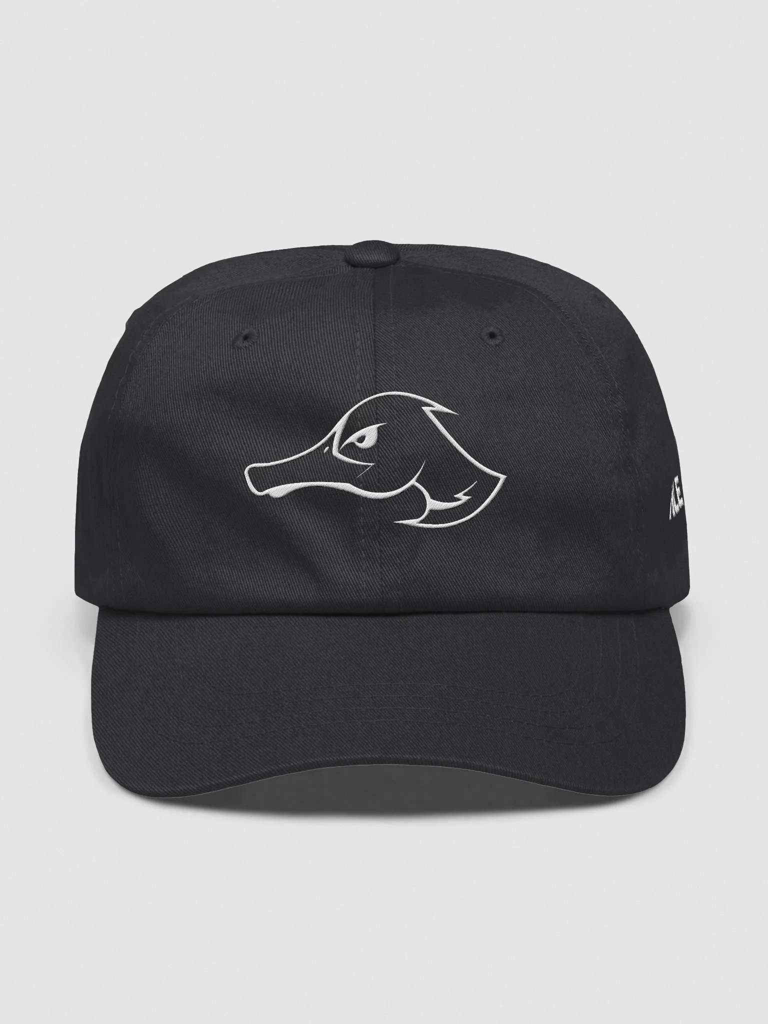 Ducks Dad Hat product image (1)