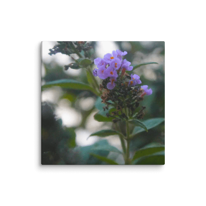 A Study in Flowers 5 product image (36)