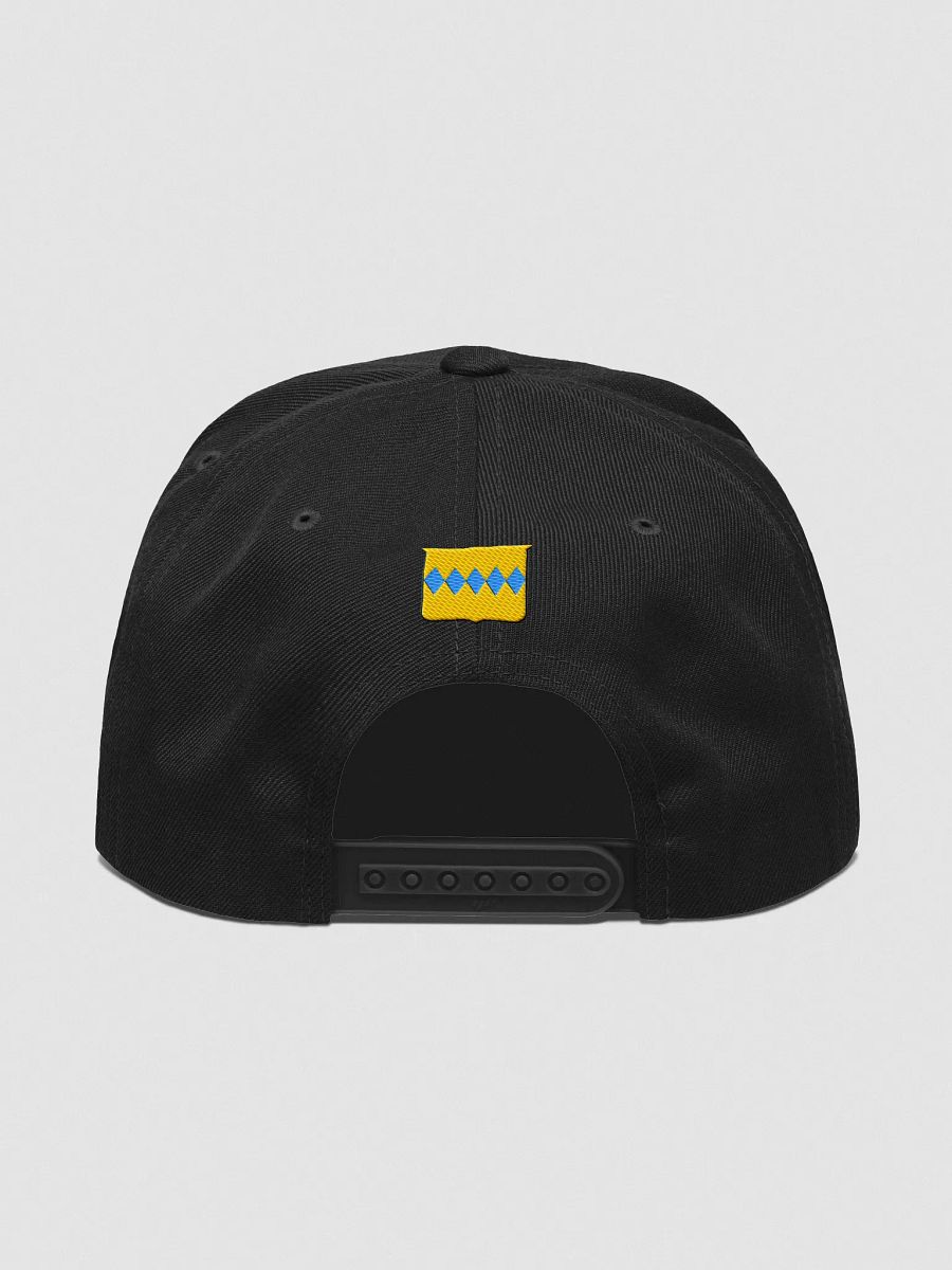 Pennington Snapback Hat v2 product image (63)
