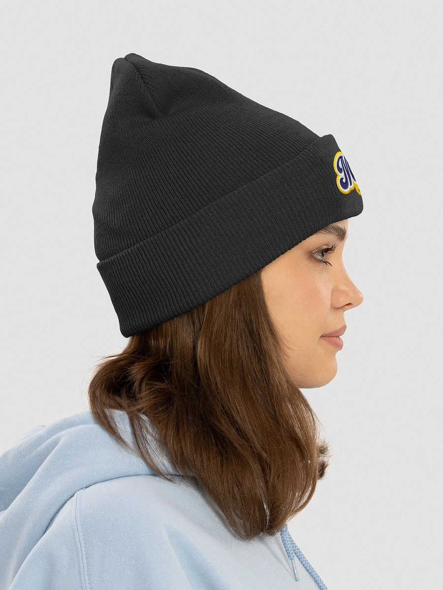 Marquette Beanie product image (15)