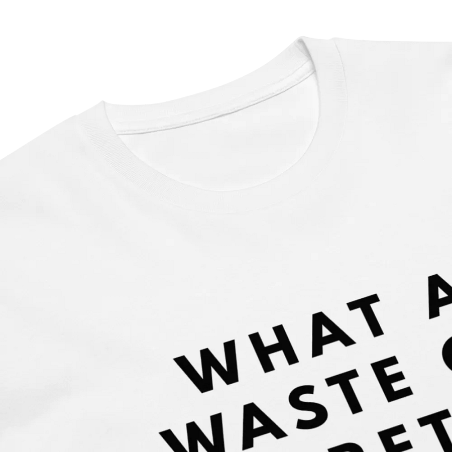 What a Waste of a Pretty Face Unisex Premium T-Shirt product image (6)