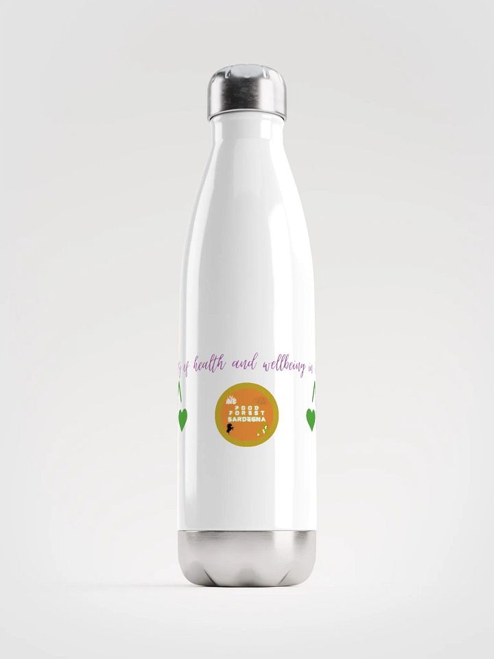 FFS Health Bottle product image (1)