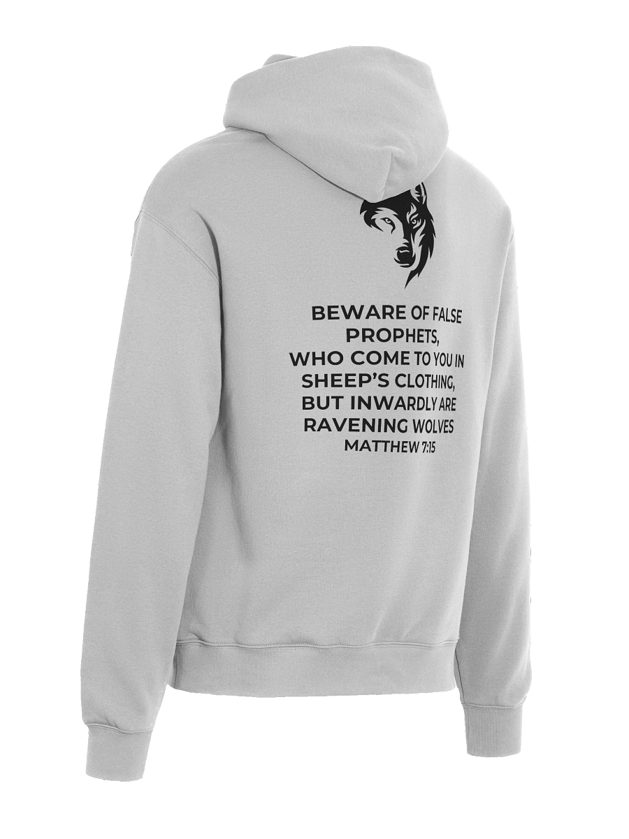 Matthew 7:15 Eclipse Oversized Hoodie [Dark] product image (6)