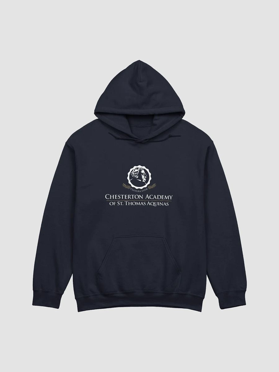 CASTA Hoodie product image (1)