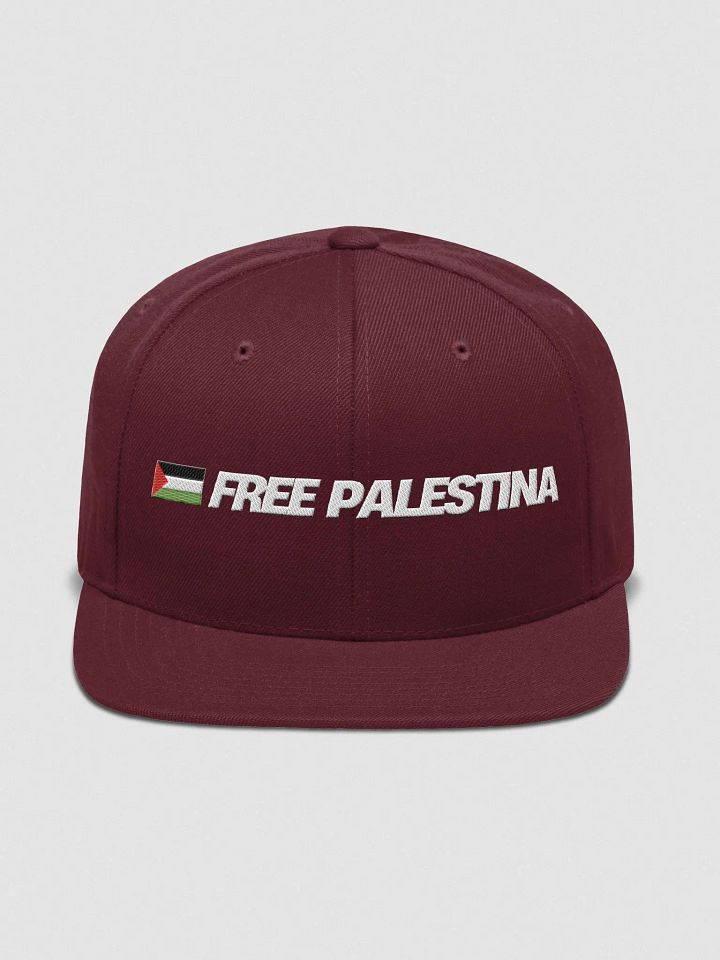 Yupoong Wool Blend Snapback Cap | FREE PALESTINA product image (2)
