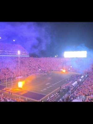 LSU vs Florida was Cinema! #lsufootball #gameday #SEC #geauxtigers #fortheboys 
