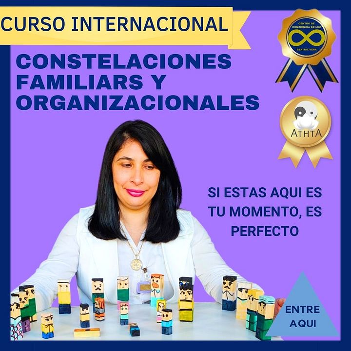 Constelaciones familiares y organizacionales (clases diferidas digitales) product image (2)