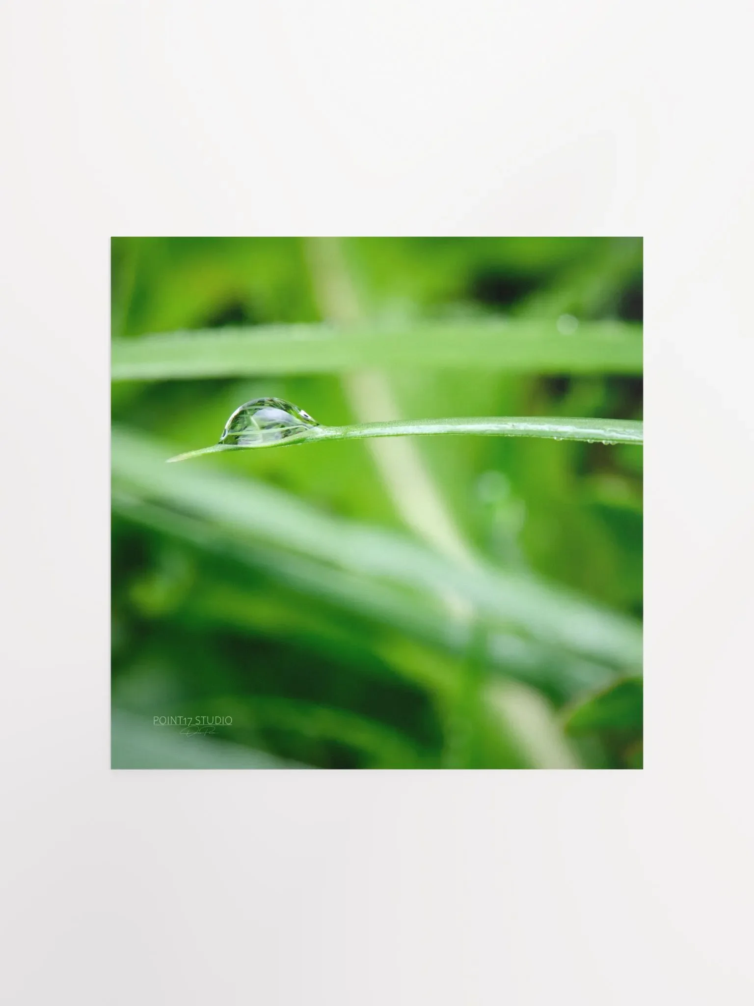 Dew Gems #10 - Print product image (2)