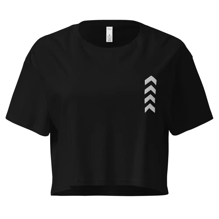 Symmetrical Arrows Crop Top in memory of Liam Payne product image (1)
