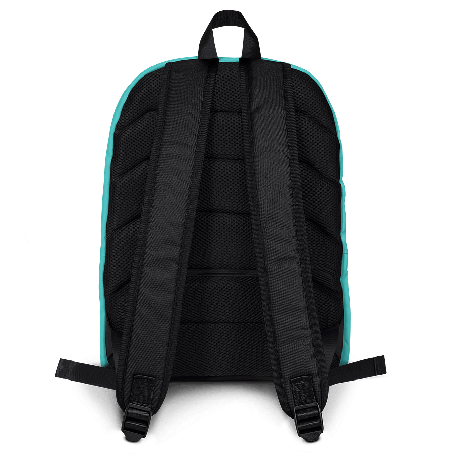 Teal Backpack product image (4)