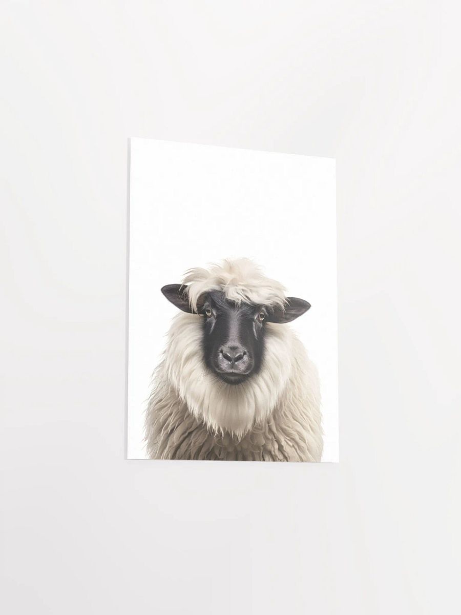 Cute Fluffy Sheep product image (5)