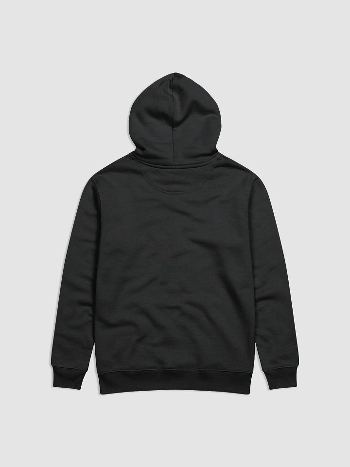 Ronin unixex hoodie (new logo) product image (2)
