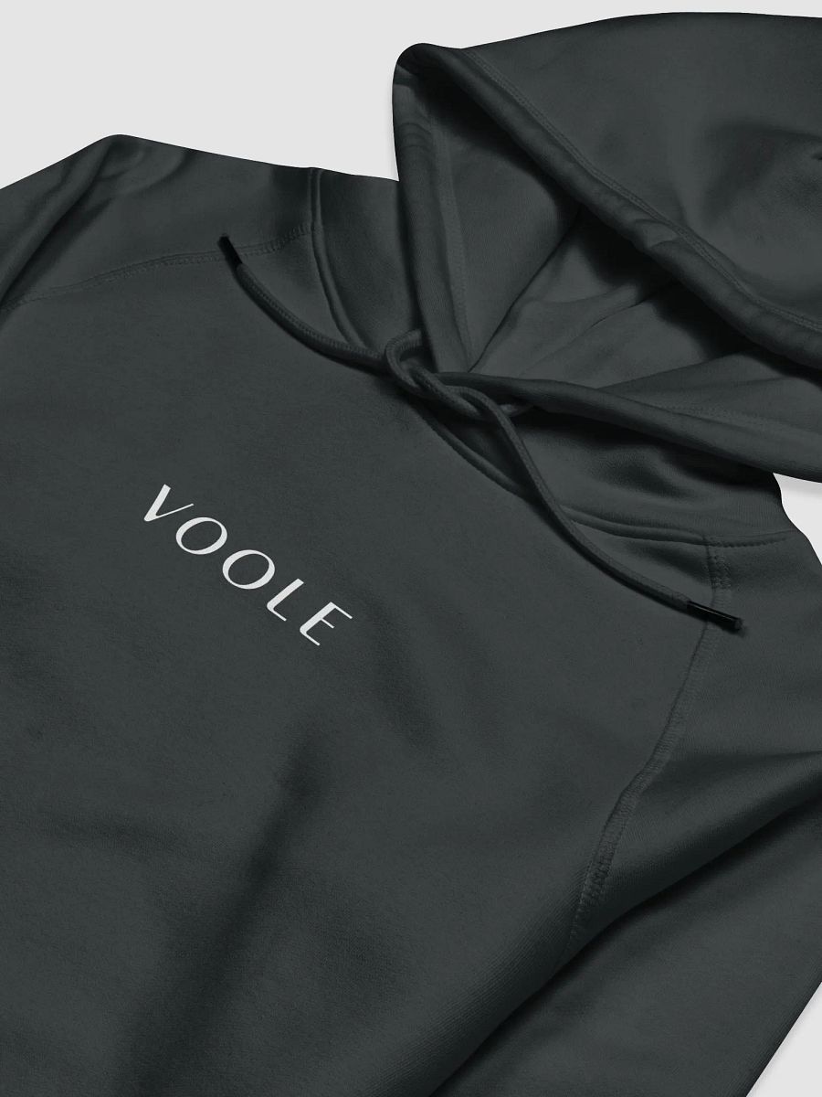 Voole Hoodie product image (3)