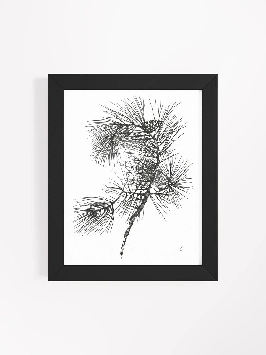 Pine Branch Serenity Framed Poster - Pine Branch product image (46)