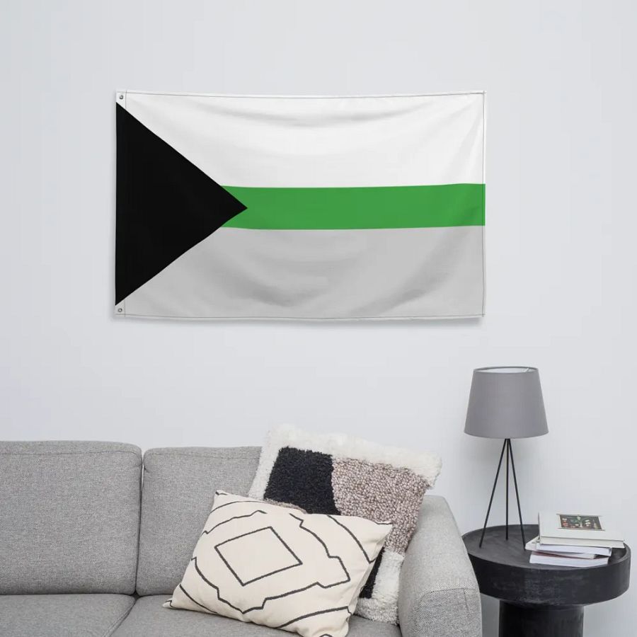 Demiromantic Flag product image (8)