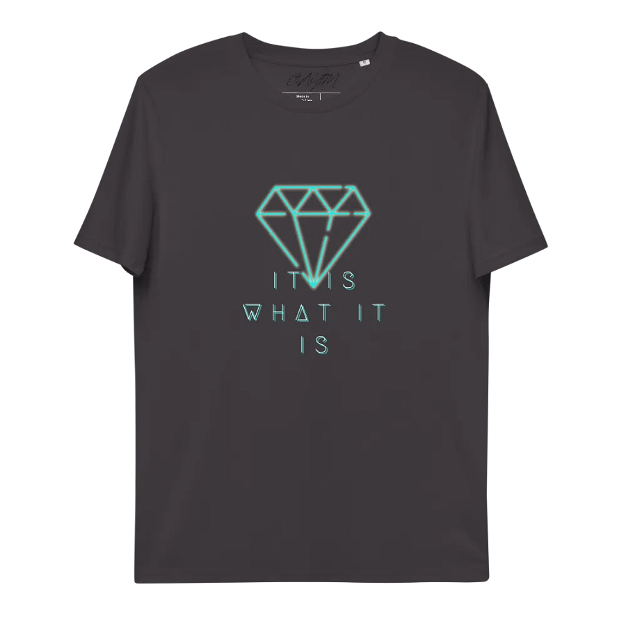 It Is What It Is ORGANIC T-Shirt product image (3)