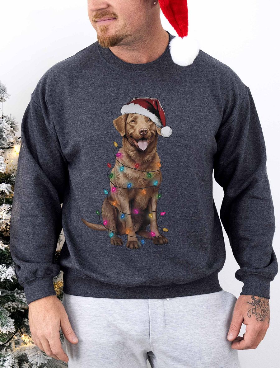 Funny Chesapeake Bay Retriever Christmas Sweatshirt for Chesapeake Bay Retriever Paw-rents product image (1)