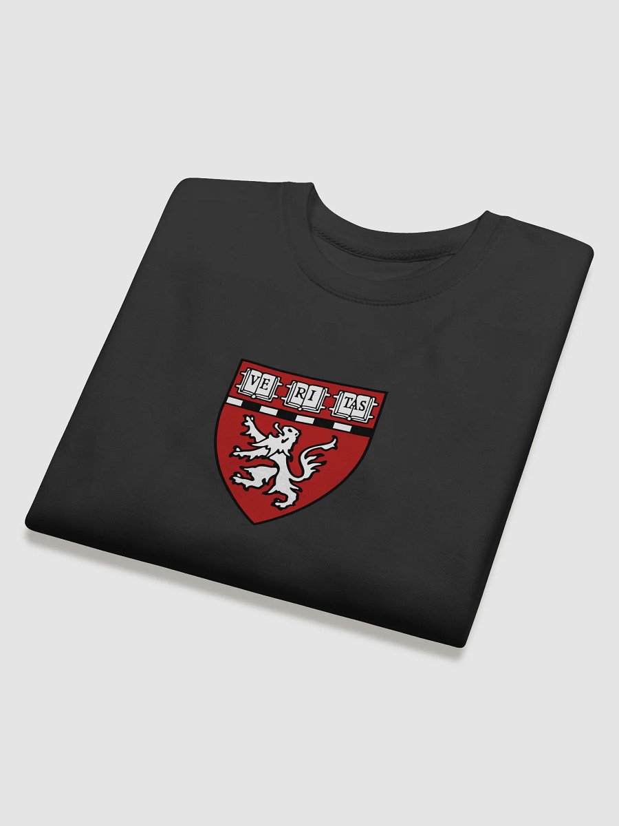 Veritas Shield Premium Sweatshirt product image (4)