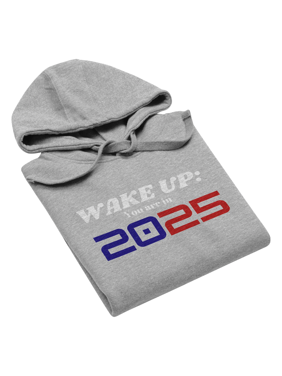 Wake up: You Are In 2025 Unisex Premium Hoodie product image (60)